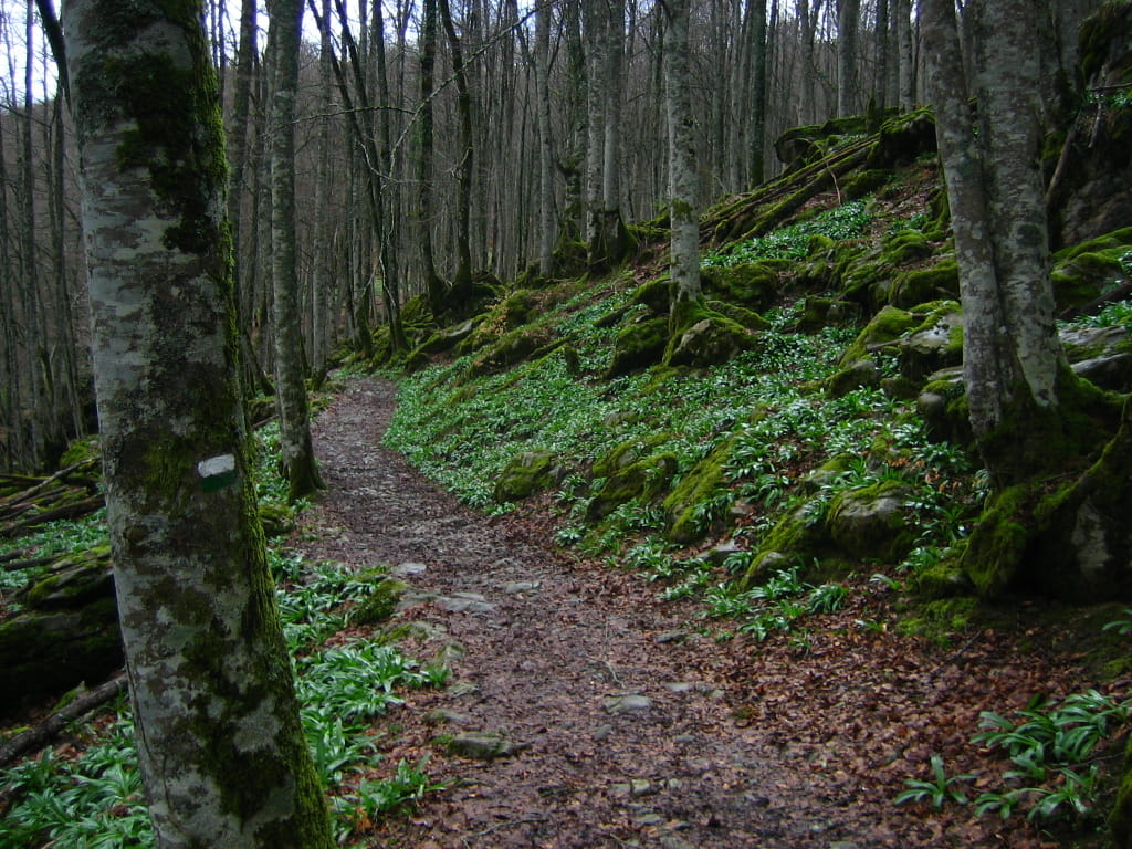 El interior de Irati