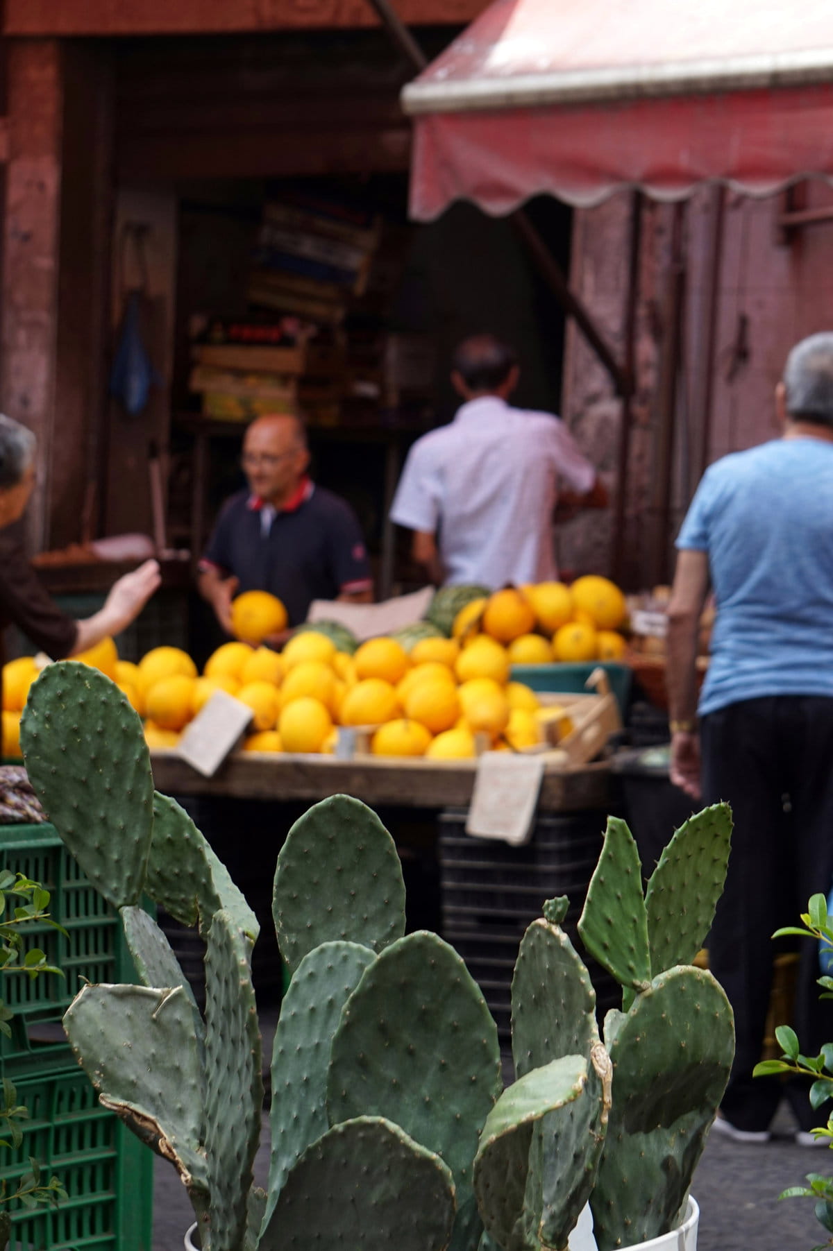 Puesto de mercado con cítricos y cactus en Catania