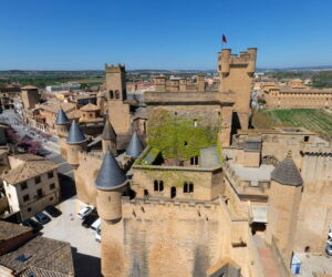 El Palacio Real de Olite