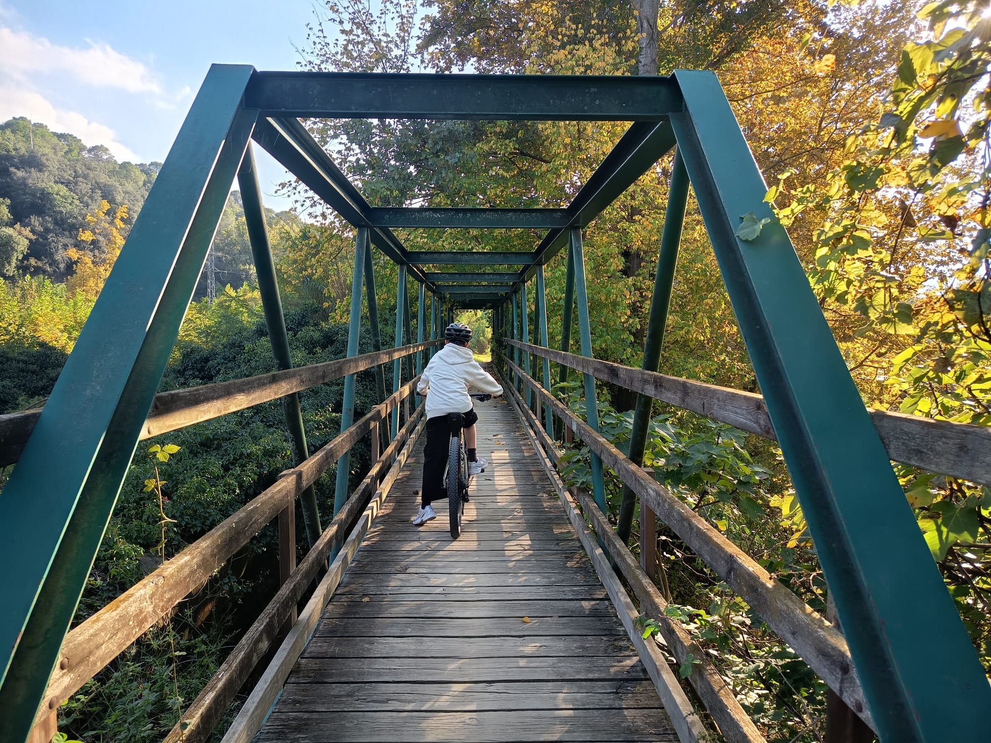 Puente ruta carrilet Olot Girona