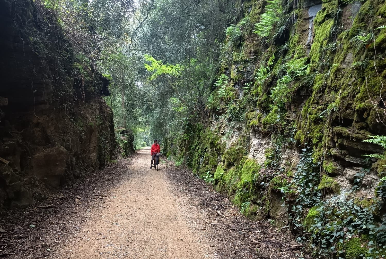 Ruta en bicicleta de Olot a Girona