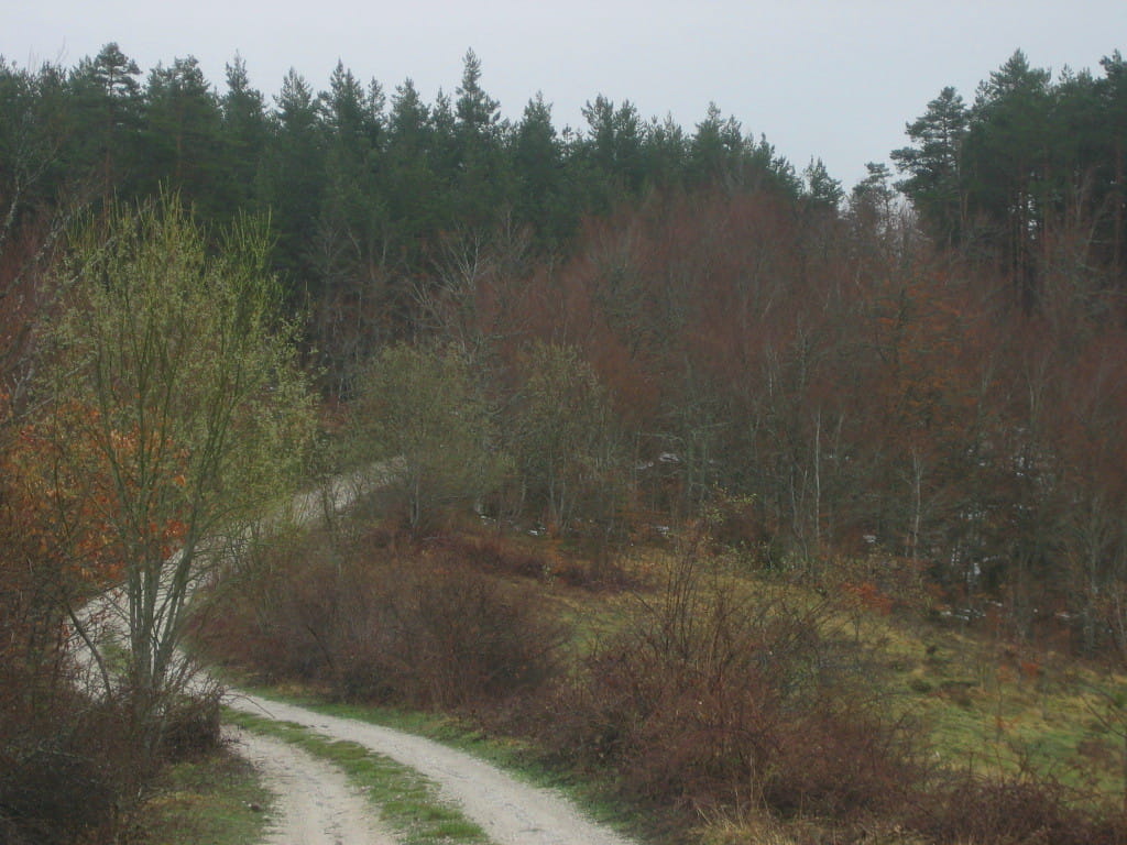 Valle de Salazar, Ochagavía